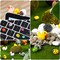 100 Pieces Mini Ocean Resin Animals Miniature Ocean Animals Tiny Figurine Tiny Resin Trinkets Marine Aquarium Ornaments Dollhouse Decorations for DIY Tank Potted Garden Landscape Accessory(Stylish Style)